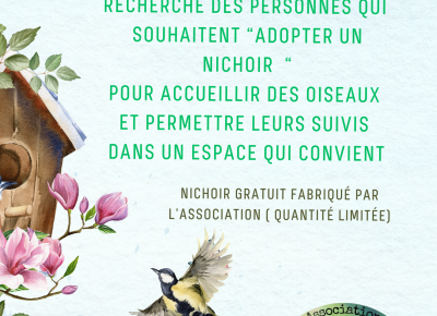 Les actualités de l'association 2025-2026