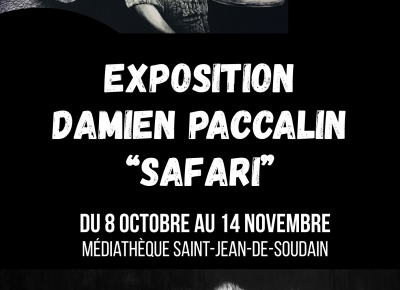 EXPOSITION DAMIEN PACCALIN