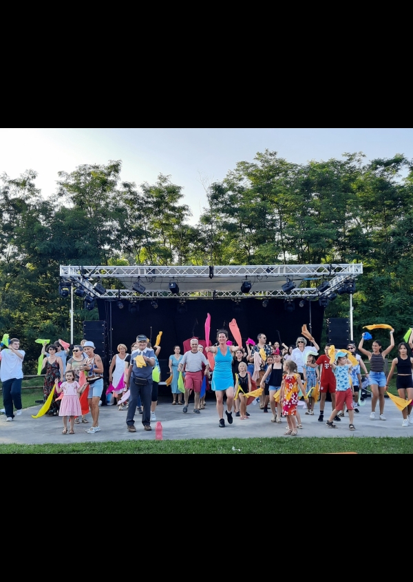 LES FEUX DE LA SAINT-JEAN