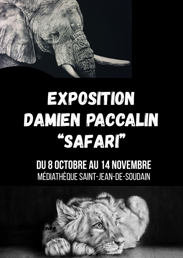 EXPOSITION DAMIEN PACCALIN