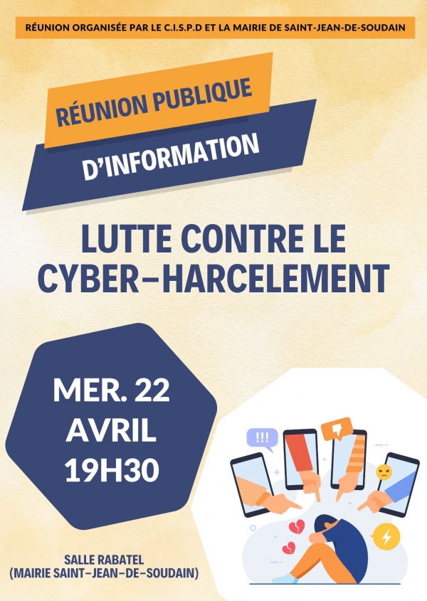 R&Eacute;UNION PUBLIQUE LUTTE CONTRE LE CYBER-HARCELEMENT