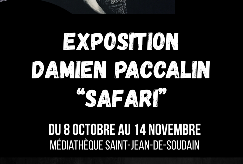 EXPOSITION DAMIEN PACCALIN